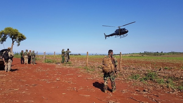 Anulan más de 300 toneladas de marihuana en Amambay
