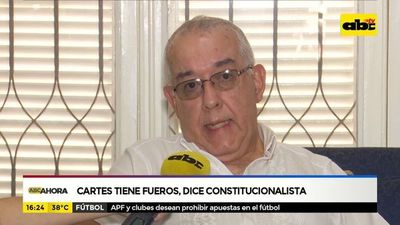 Cartes tiene fueros, según constitucionalista - ABC Noticias - ABC Color