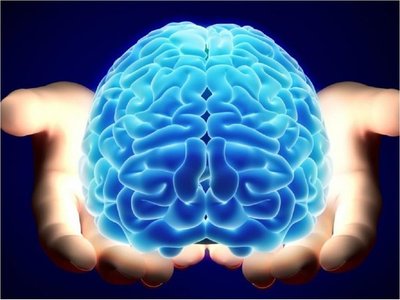 Cuando falta un hemisferio del cerebro la otra mitad compensa las conexiones
