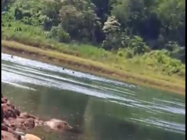 Dos colegiantes desaparecen en el río Paraná