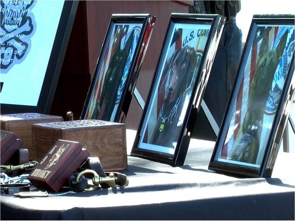Homenaje póstumo a perros que lograron decomisos de drogas