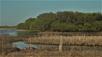 Lolita: Tras 6 meses de las inundaciones los efectos aún continúan