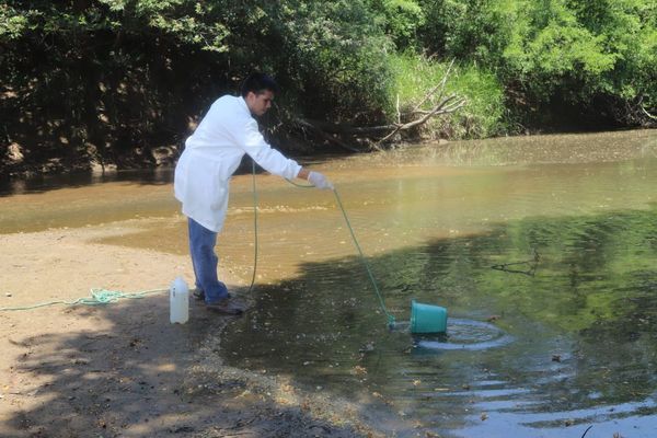 Tras denuncia de supuesta contaminación, analizarán agua del arroyo Caañabé