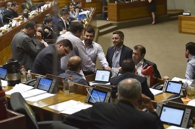 “ÑANE Energía” y ley informconf pasan al archivo - Nacionales - ABC Color