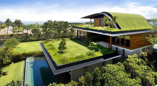 Paisajes en tu terraza de la mano de "techos verdes” » Ñanduti