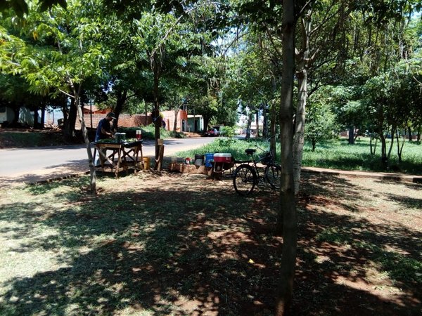 En Ciudad del Este causa furor el "terecleta"