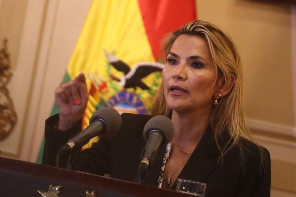 Presidenta de Bolivia pide a Congreso que apruebe ley para convocar a elecciones - Mundo - ABC Color