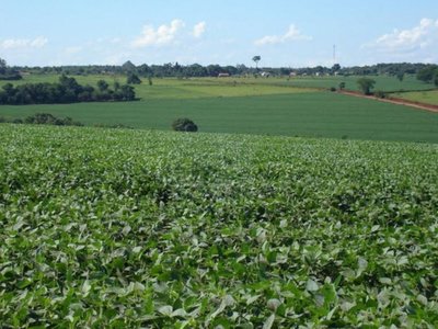 CSJ no atiende caso de escribanos que dan tierras a los extranjeros