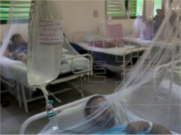 Arbovirosis: Dengue del serotipo DEN-4 predomina en el país