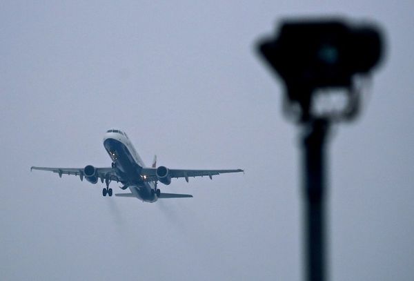 Aerolíneas empiezan a compensar carbono