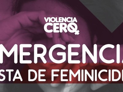 Recomiendan manejar con cautela informaciones relacionadas a feminicidios