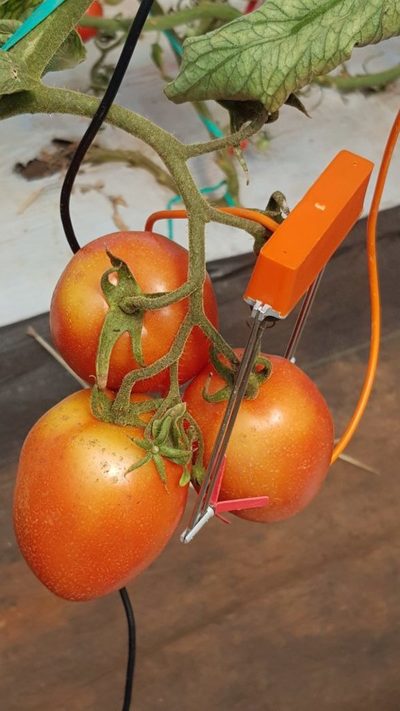 Llega tecnología para optimizar producción