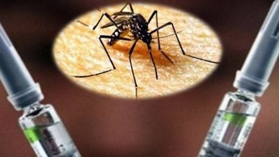 Vacuna podría disminuir casos de dengue