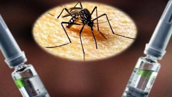 Vacuna podría disminuir casos de dengue