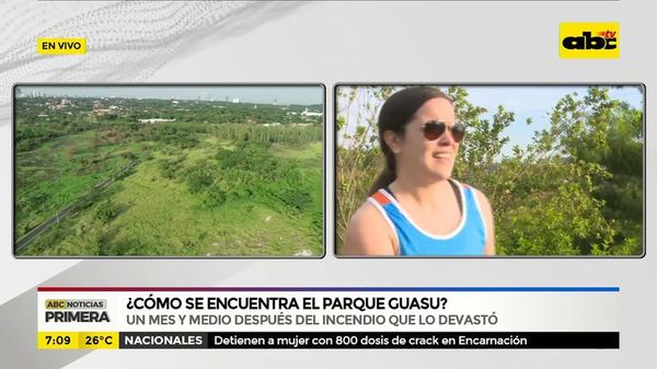 ¿Cómo se encuentra el Parque Guasu? - ABC Noticias - ABC Color