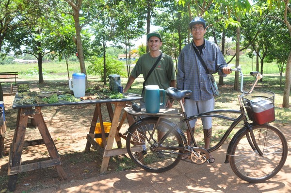 Jóvenes hacen delivery de terere en bicicleta