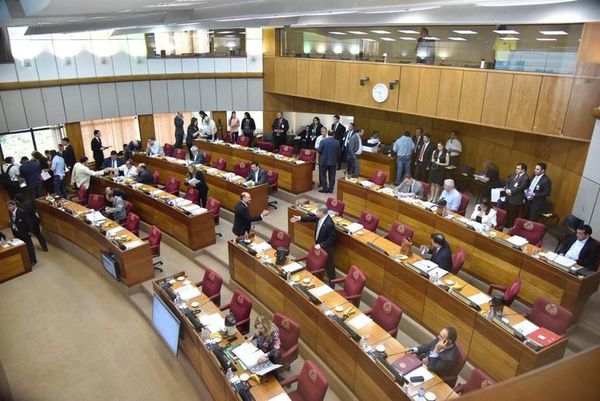 Senado se ratifica en dar subsidio a huérfanos en casos de feminicidio - Nacionales - ABC Color