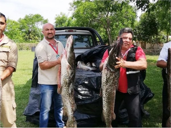 Donan pescados decomisados a guarderías y hospital en Pilar