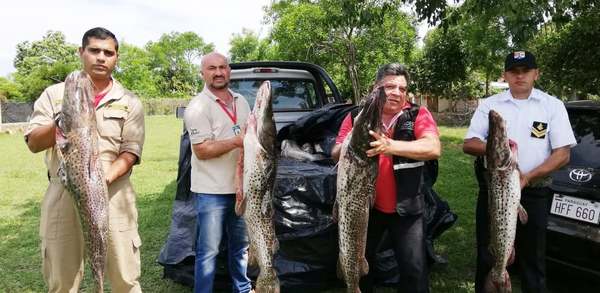 ÑEEMBUCÚ: DECOMISAN Y DONAN IMPORTANTE CANTIDAD DE PESCADOS EN PLENA TEMPORADA DE VEDA