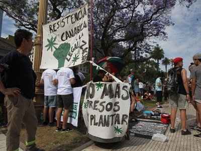 Centenares de personas piden ley que legalice marihuana en Argentina