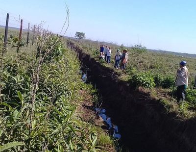 Acusan a una fiscala de avalar secado de esteral