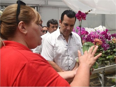 Paraguay quiere competir con la orquídea importada de Brasil