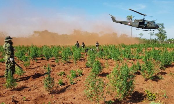 Investigarán posibles causas de la caída de helicóptero en PJC