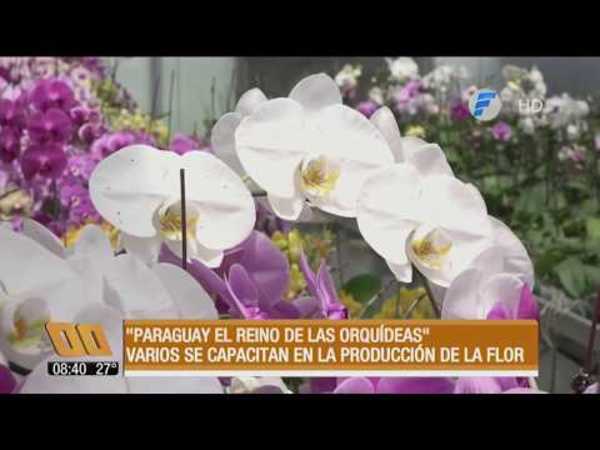 “Paraguay, el reino de las orquídeas“