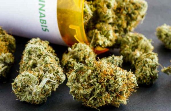 Un negocio lucrativo: Estados Unidos da el primer paso para legalizar la marihuana en todo el país - SNT
