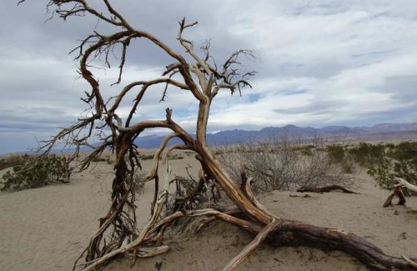 Salvar 'Medio Planeta': la polémica propuesta para hacer frente a la crisis climática - SNT