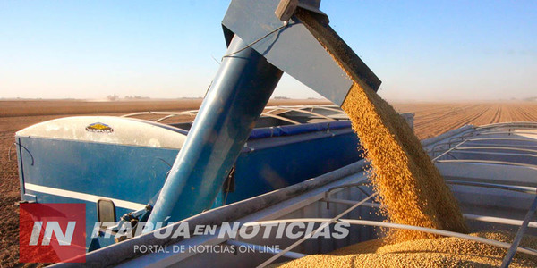SE ESPERA UN AÑO DE EXCELENTE COSECHA EN ITAPUA