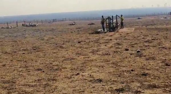 Tras cambios climáticos, producción agrícola y ganadera cayó 40% en San Pedro