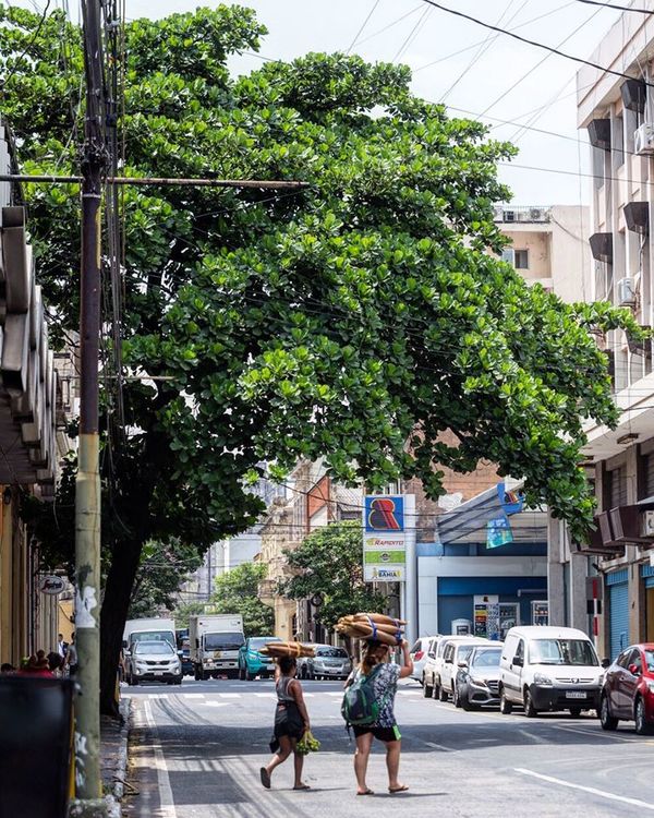 Sábado caluroso con chaparrones y tormentas