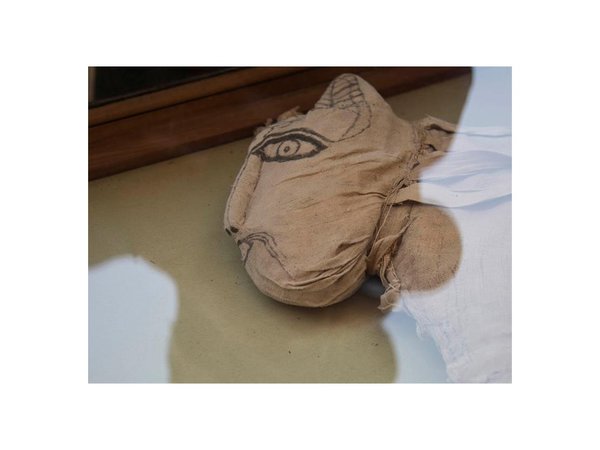 Egipto presenta varias momias de animales