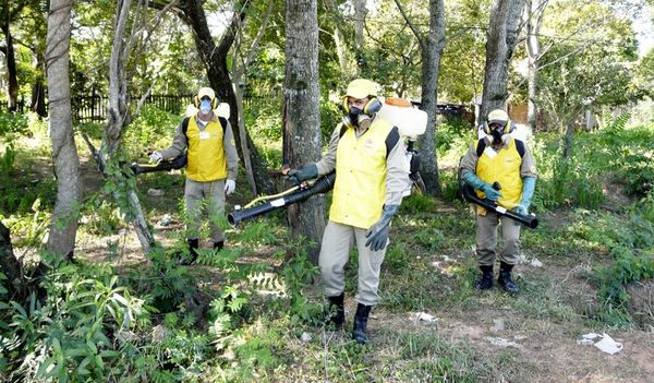 Lucha en bloque contra el dengue, el zika y la chikunguña - Nacionales - ABC Color