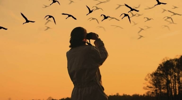 HOY / Paraguay será sede de turismo mundial de observación de aves en el 2022