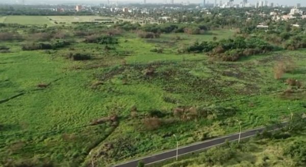 El Parque Guasu vuelve a cobrar vida - Nacionales - ABC Color