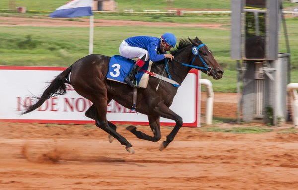 El premio Campeón de la Milla es atracción principal del turf