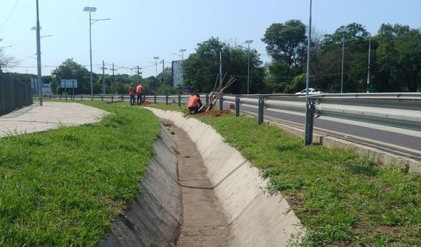 Amplían sistema lumínico solar en la Autopista Ñu Guasú