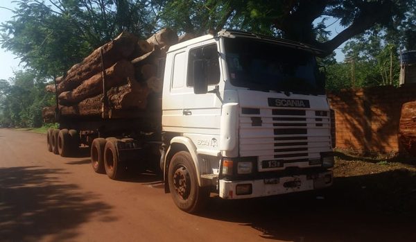 Retienen tres camiones repletos de rollos de madera en Minga Porã