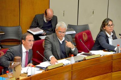 Senado buscará ajustar PGN a lo fijado por la Comisión Bicameral
