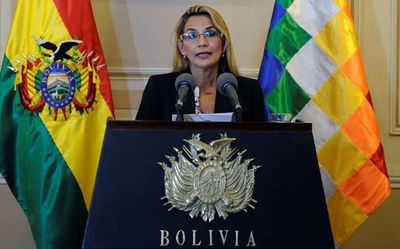 Bolivia promulga ley para celebrar nuevos comicios sin Morales
