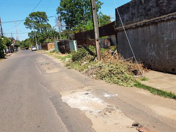 Baches y malezas signo de abandono municipal | San Lorenzo Py