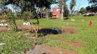 Metrobus: Deben preservar Ykua ubicado en Triangulo de avda. Del Agrónomo | San Lorenzo Py