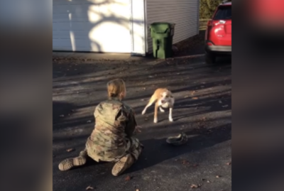 Luego de meses, regresó de su práctica militar y esta fue la entrañable reacción de su perro