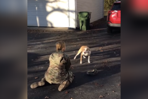 Luego de meses, regresó de su práctica militar y esta fue la entrañable reacción de su perro