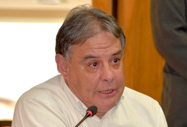 Richer: Caso Cartes puede ser una jugada política