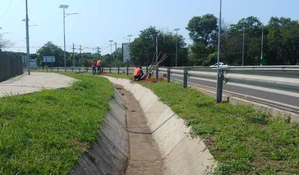 MOPC amplía sistema lumínico solar en la Autopista Ñu Guasú