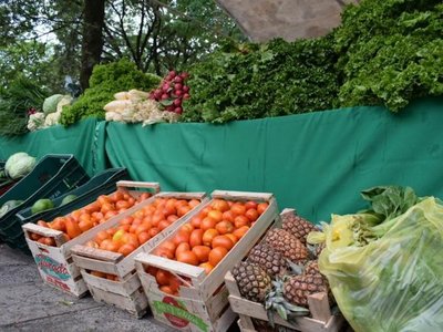 Preparan gran feria de hortalizas y verduras