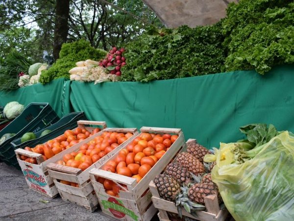 Preparan gran feria de hortalizas y verduras